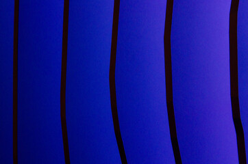 black stripes with shades of blue
