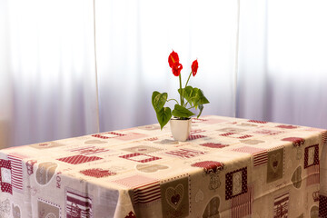 flowers in a vase on the table