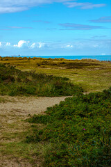Fototapeta na wymiar Green coastline with a beautiful blue sea & sky location - Ness point, Norfolk