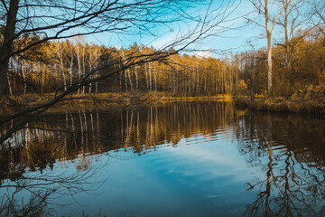 Landscape. Reflection of trees in the water. Landscape. Deep waters of the blue lake surrounded by winter forest. Trees above the water