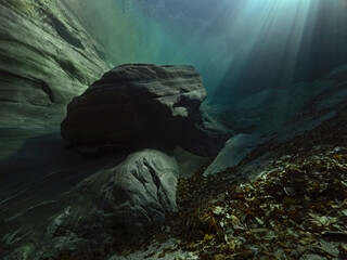 Sunlight dips into the river bed 