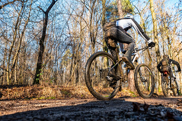 Fototapeta na wymiar Mountain biking scene in a woodland