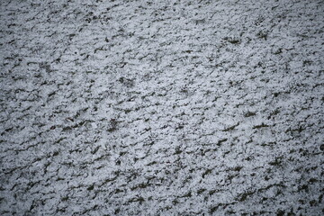 stone wall texture