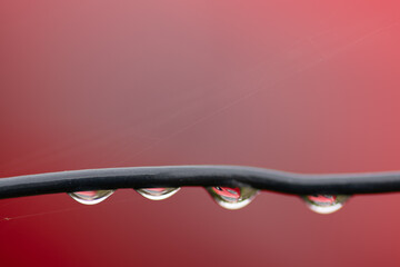 Gotas de agua sobre una valla