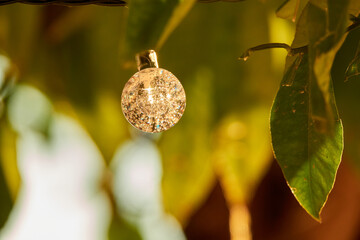 Spherical decorative solar garden lights hanging from the branches of a tree