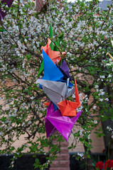 Paper cranes near the Chernobyl museum in Kiev