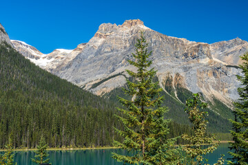 Emerald Lake in summer sunny day with Michael Peak Mountain in the background. Yoho National Park, Canadian Rockies, British Columbia, Canada.