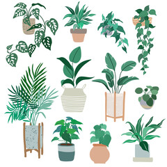 House plants in pots, trendy hand drawn flat 