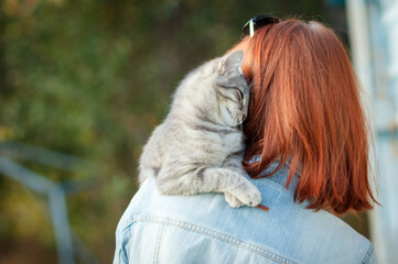 Fototapeta premium Grey tabby cat sitting on a shoulder at the girl. Outdoors