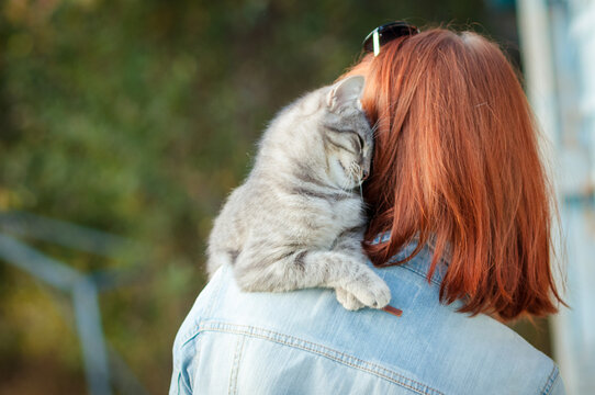 Grey tabby cat sitting on a shoulder at the girl. Outdoors