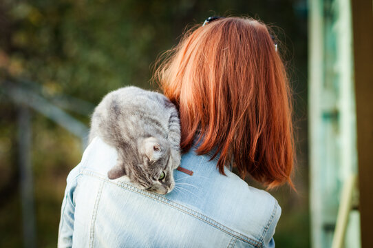 Grey tabby cat sitting on a shoulder at the girl. Outdoors