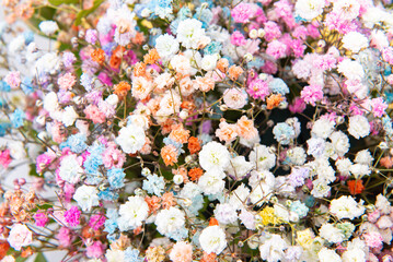 a bouquet of gypsophila close up