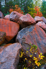 Autumn colors in the taiga and tundra of Finland, Europe