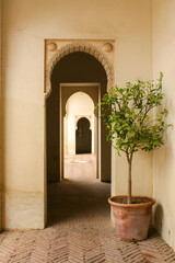 Fototapeta na wymiar Malaga, Spain - October 20 2012 - Arched doorways at Gibralfaro Castle. Image has copy space.