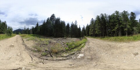 Spruce forest in Tatra mountains HDRI Panorama