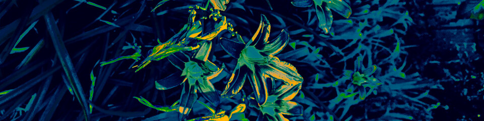 Dark Leaf Texture. Yellow Flora Decoration. Black
