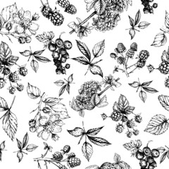 
Blackberries, currants, raspberries, berries, healthy food, fruits. seamless pattern. Graphic vector illustration hand drawn. Doodle style sketch. Print, textiles. Vitamins, vegetarianism, gardening.