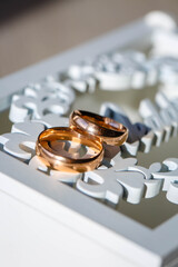 Two golden wedding rings. Close-up view of white golden wedding rings in a box