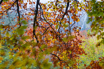 Landscapes and fall colors in the Taballon de Mongallu,  Redes Natural Park, in the Caso Council. Asturias, Spain, Europe