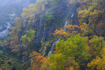 Fototapeta na wymiar Landscapes and fall colors in the Redes Natural Park, in the Caso Council. Asturias, Spain, Europe