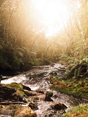 Waterfall in the middle of the Atlantic forest located in the city of Apiai, São Paulo.