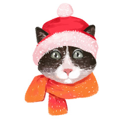 illustration portrait of a winter cat dressed warmly, wearing a hat with bubo and a warm scarf.
