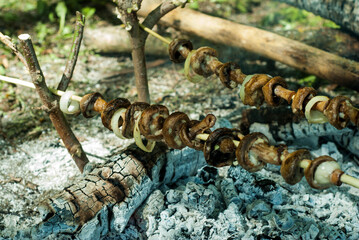 Fototapeta premium Mushrooms on skewers in the forest