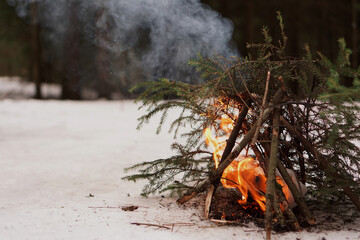 Bonfire of fir branches in the winter forest, survival in the cold and wildlife
