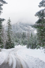 Beautiful winter landscape with snowy mountains near Green lake (Gruner see), famous tourist destination for walking and trekking in Styria region, Austria