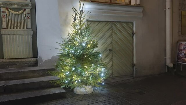 The small Christmas tree outside the house in Tallinn Estonia