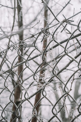 Street in hoarfrost and snow in the winter