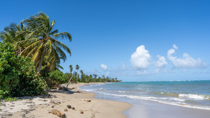 Beach, Rio Grande Puerto Rico
