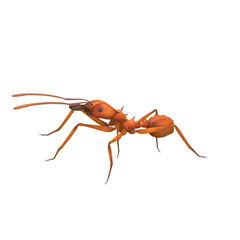 3D illustration of an ant