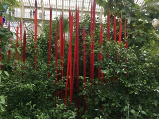 Fototapeta premium red and green leaves