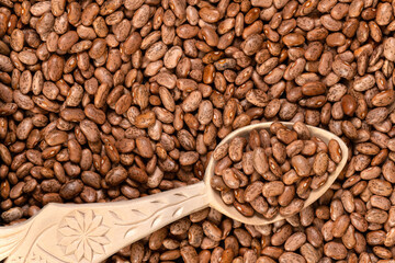 Fototapeta premium Pinto Beans Background and Texture