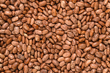 Pinto Beans Background and Texture
