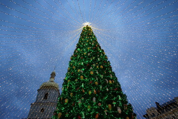 The main tree in Kiev 2020, for the New Year 2021
The main tree in Kiev 2020, for the New Year 2021
