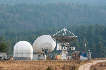 Big satellite dish antennas hidden in green pine tree forest communication center on forest...
