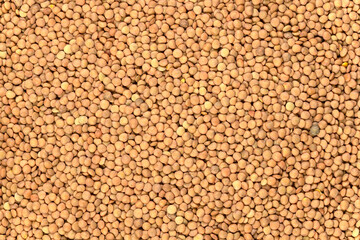 Lentils background and texture. Top view.