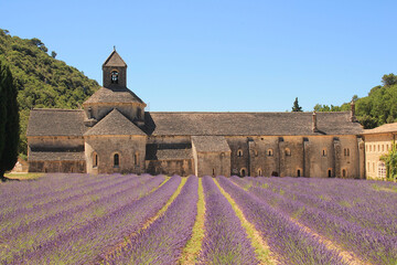 The famous Abbey of Senanque and its lavender field, Luberon, Vaucluse, France
