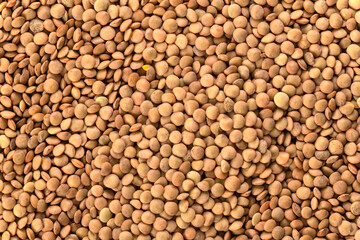 Lentils background and texture. Top view.