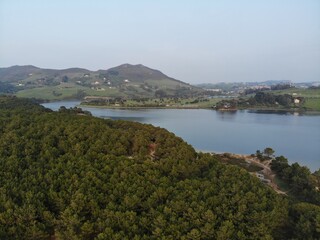 Aerial view of a forest on a beach on the coast in a sunset