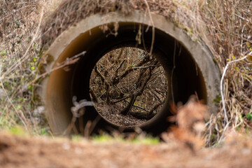 Old sewer in deep forest in autumn orange leaves leaf falling landscape rural scenery environmental conversation