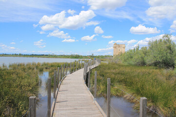 The Carbonniere Tower, a historic stone gate tower in Camargue. The Carbonniere Tower was once a working bit of fortification in Aigues mortes, France
