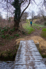 Camino de Santiago, Villafranca Montes de Oca, province of Burgos, Europe, Castilla y León, world heritage site, Way of St James, Northern Spain, pilgrim, pilgrimage of Compostela, French Way, Unesco,