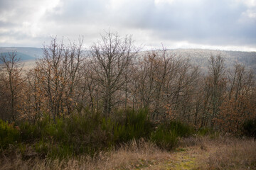 Scenes from the Camino de Santiago as it passes through Montes de Oca, province of Burgos, Spain