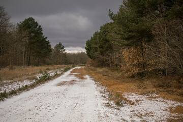 Scenes from the Camino de Santiago as it passes through Montes de Oca, province of Burgos, Spain