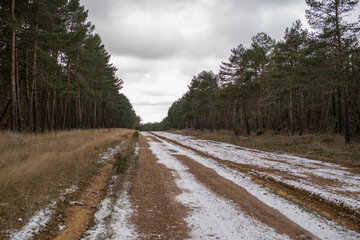 Scenes from the Camino de Santiago as it passes through Montes de Oca, province of Burgos, Spain