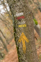 Scenes from the Camino de Santiago as it passes through Montes de Oca, province of Burgos, Spain