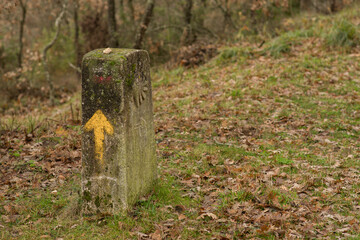 Scenes from the Camino de Santiago as it passes through Montes de Oca, province of Burgos, Spain